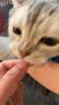 皇后的猫宠物排毛冻干车前子角蛋白酶排毛晶球颗粒长毛猫舔毛猫狗 月度装 1盒 90颗 + 送1袋试吃装 【本产品由PICC中国人保承保】 实拍图
