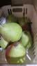 亨迅烟台太婆梨山东梨子丑梨啤梨香蕉梨大头梨茄梨软梨新鲜水果生鲜 3斤【优选装】净重2.7斤 香甜软糯|核心产区直发|放软后吃 实拍图