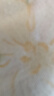 皇家小虎法式花边蛋挞皮360g*1（12个）空气炸锅半成品食材生皮源头直发 实拍图
