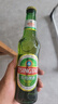 青岛啤酒（TsingTao）经典啤酒 316ml*24瓶 整箱装 中秋节送礼 实拍图