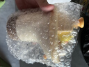 onlycook桶装水电动抽水器饮水机自动吸水器大桶纯净矿泉水取水泵-小鸭 实拍图