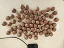 京东京造 X PLUS会员联名款混合坚果1.1kg/罐 每日坚果开心果夏威夷果 实拍图