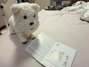 babycare动物毛绒玩偶狗西高地儿童宠物玩具生日周岁礼物电子犬-可充电款 实拍图