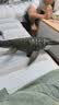 Jurassic World生日礼物男孩恐龙电影同款侏罗纪世界大电影之沧龙JCH00 实拍图