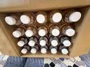 元气森林【好自在】500ml*20瓶 (红豆薏米*10+红枣枸杞*5+金银花雪梨*5) 实拍图