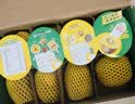 佳沛（zespri）新西兰阳光金奇异果 8个装 特大果单果重约124-146g 水果猕猴桃 实拍图