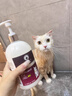 雪貂留香猫咪沐浴露宠物香波貂油系列升级款洗护一体全猫通用520mL 实拍图