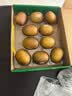 佳沛（zespri）新西兰阳光金奇异果10粒巨大果单果146-175g 猕猴桃水果礼盒 实拍图