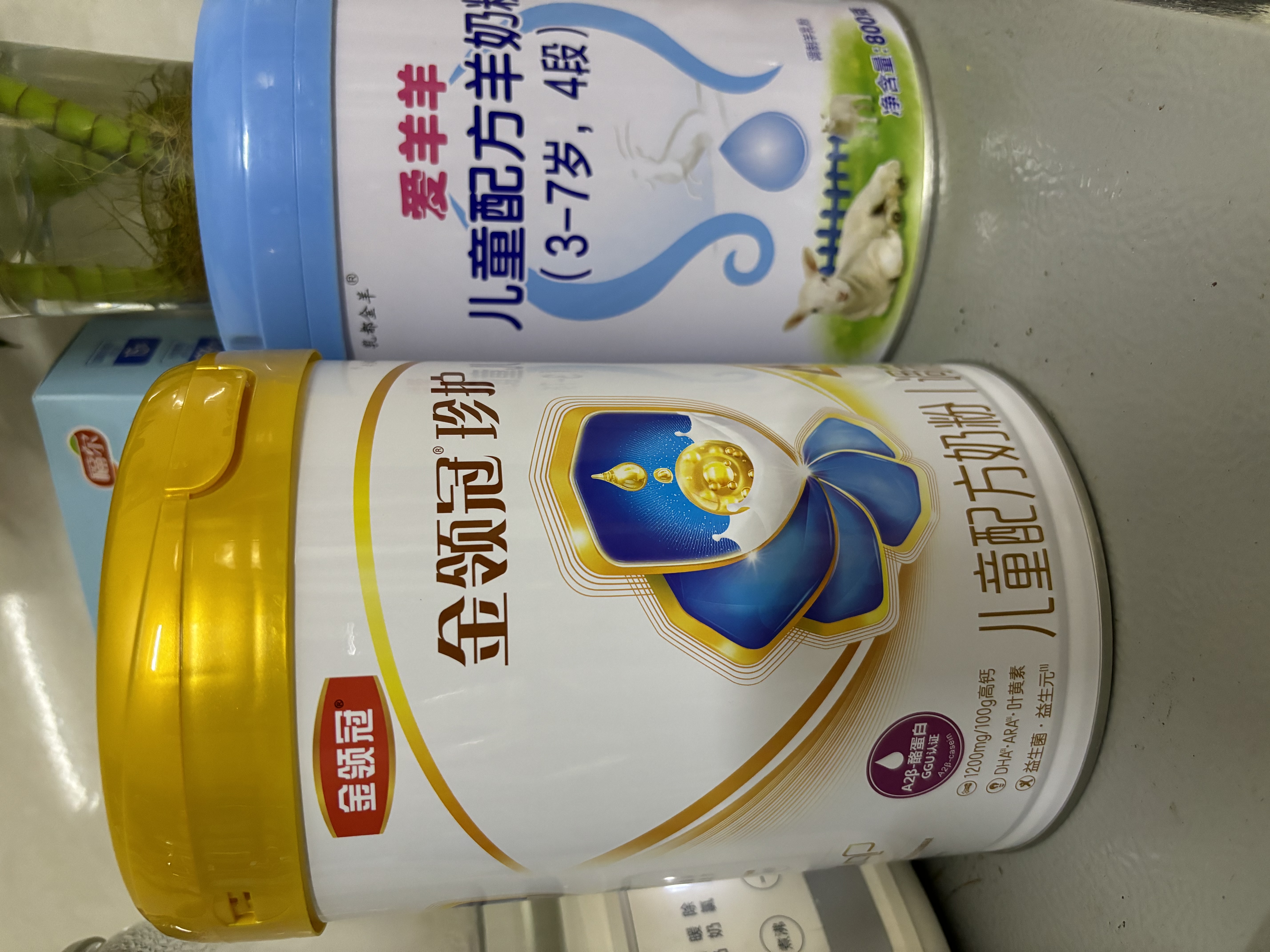 伊利金领冠珍护4段800g 3-6岁儿童成长学生配方牛奶粉 儿童试喝 珍护4段800g 实拍图