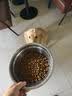 好主人狗粮 全犬种通用幼犬粮2.5kg泰迪金毛拉布拉多比熊天然粮5斤/20斤 【超值囤货】全犬种幼犬粮20斤 实拍图