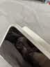RBP适用于iPad mini7/6保护壳2024/21款平板8.3英寸苹果平板电脑全包软壳防摔智能休眠保护壳轻薄 实拍图