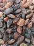 华味亨无籽三色葡萄干500g新疆原产大颗粒绿红黑加仑蜜饯果干办公室零食 实拍图