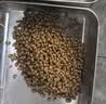 凯锐思中小型犬狗粮 成犬鲜肉肠胃宠物通用泰迪比熊小狗粮 【助益免疫】营养牛肉4斤 实拍图