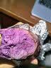 紫罗兰红薯沙地现挖紫薯宝宝辅食紫芋头山芋苕粗粮新鲜包邮 紫罗兰紫薯9斤中小果 含箱 实拍图