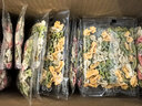 宝宝馋了 山楂分享桶山楂棒水果棒棒糖儿童宝宝零食0添加防腐剂辅食谱300g 实拍图