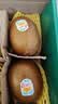 佳沛（zespri）新西兰 阳光金奇异果12粒特大果单果124-146g 猕猴桃水果礼盒 实拍图