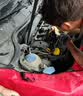 嘉实多（Castrol）极护智E版 全合成机油 5W-30 SP/C2 4L 京东自营 京东养车保养 实拍图
