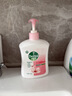 滴露（Dettol）健康抑菌洗手液滋润倍护500g 消毒抑菌99.99% 儿童适用不含酒精 实拍图
