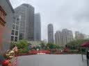 立蒙（LIMENG）男女装素色180g全棉短袖t恤圆领宽松体恤打底衫 黑色 M 实拍图