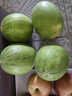 佳沛（zespri）新西兰阳光金果4粒装单果约103-114g 猕猴桃新鲜水果源头直发 实拍图