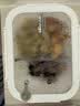 小熊（Bear）高硼硅玻璃保鲜饭盒可微波炉加热专用餐盒格洗碗机可用 JC012-P04 实拍图