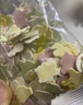 爷爷的农场有机婴幼儿片片面200g  宝宝辅食婴儿面条钙铁锌儿童早餐6-12个月 实拍图