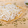 绿豆芽300g 实拍图
