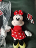 迪士尼（Disney）毛绒玩具米老鼠公仔玩偶抱枕摆件布娃娃生日七夕情人节礼物 米妮 实拍图