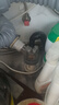 潜水艇（Submarine）厨房下水三通 洗菜盆净水器洗碗机下水管三通接头下水道防臭神器 【3】接水槽+洗碗机(或溢水管) 实拍图