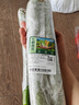 碧水长丝瓜约700g 实拍图