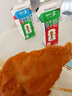 正大川香鸡柳2斤  半成品空气炸锅鸡肉鸡胸肉冷冻炸鸡肉串烧烤鸡柳 实拍图