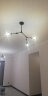 昂的北欧创意艺术灯饰服装店卧室客厅个性餐桌玻璃球树枝魔豆球吊灯 黑色3头透明灯罩 晒单实拍图