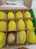 佳沛（zespri）新西兰 阳光金奇异果12粒特大果单果124-146g 猕猴桃水果礼盒 实拍图