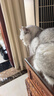 佳乐滋银勺猫罐头猫湿粮猫零食成猫幼猫泰国进口鲣鱼金枪鱼小银鱼70g*24 实拍图
