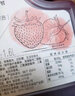 Doking草莓原浆果酱1.6升/2kg】浓缩果汁饮料浓浆含果肉 奶茶饮品原料 发货快 1.6L*1瓶 实拍图