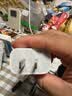 Apple/苹果 原装正品20W type-c充电器 苹果usb-c充电器手机快充头 旗舰店苹果iPhone 17 Pro Max充电器 实拍图