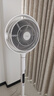 东芝（TOSHIBA）花信风pro空气循环扇电风扇双电机双扇叶除醛家用落地扇加速除湿一级能效F-DSE900CN(W) 实拍图