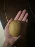 佳沛（zespri）新西兰阳光金奇异果16粒礼盒经典果单果 88-103g  猕猴桃水果礼盒 实拍图