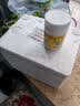 北大荒 东北黑蜂 鲜蜂王浆250g  蜂皇浆 送父母长辈礼物 滋补礼品 实拍图