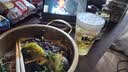 三宝乐（Sapporo）札幌经典黑标生啤酒漫画家限定日本啤酒原装进口 黑星标【27年5月到期】 350mL 24罐 实拍图