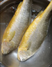 三都港 冷冻黄花鱼700g/2条装 宁德大黄鱼 深海鱼 生鲜 鱼类 海鲜水产 实拍图