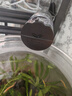 喜高鱼缸喂食器智能定时投食器观赏鱼乌龟粮水族箱全自动喂鱼粮 升级款 实拍图