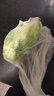 散叶生菜约400g 实拍图