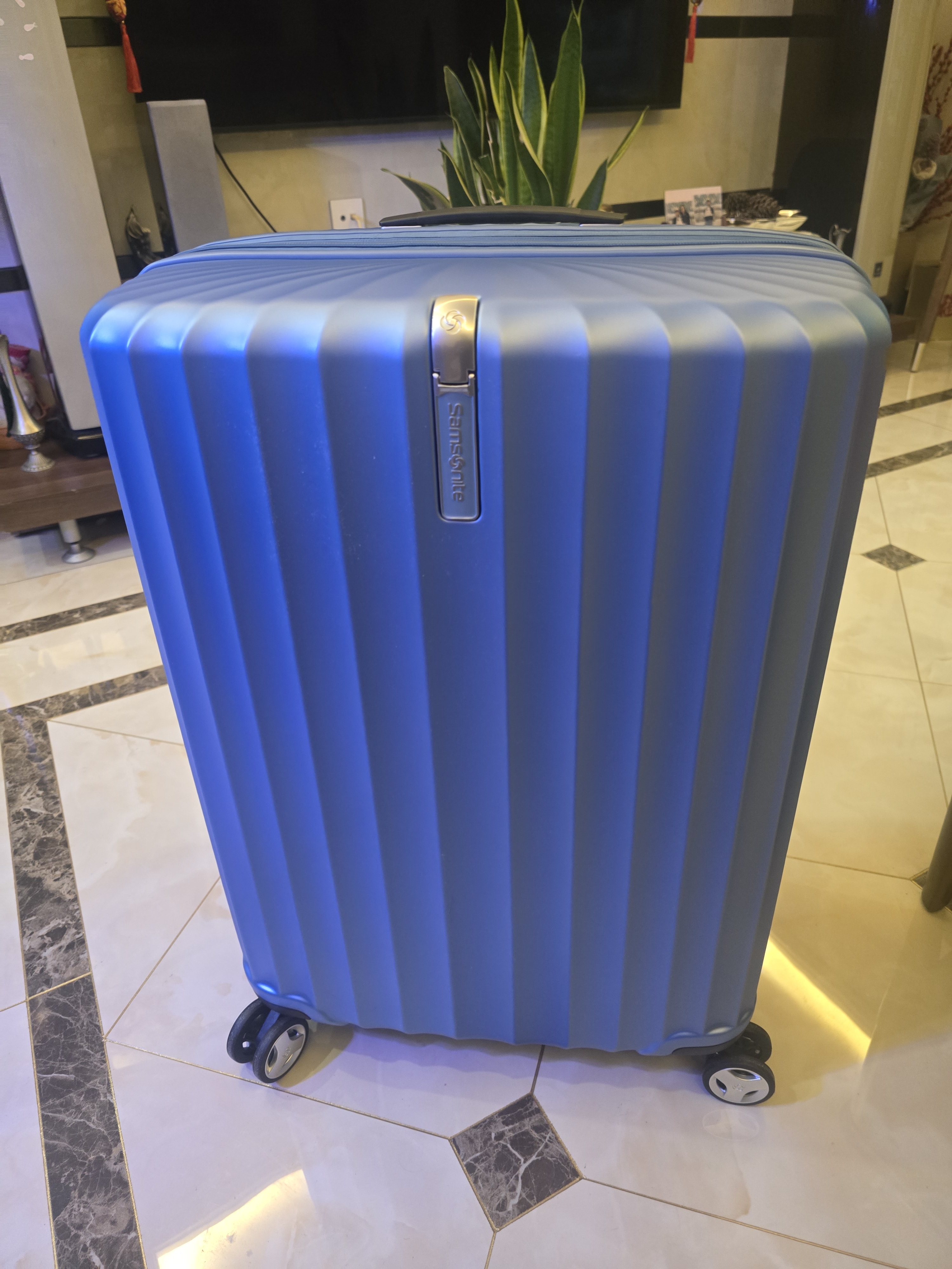新秀丽行李箱25英寸拉杆箱竖条纹大容量旅行箱包托运密码箱蓝色GU9 实拍图