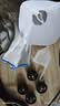 普力捷电动喷枪喷漆工具乳胶漆油漆喷枪涂料喷漆机喷涂机家具喷漆神器 SG9617ST（钢壶+5铜喷嘴700w） 实拍图