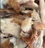 德州扒鸡【大吉大利保鲜400g】山东五香脱骨童子鸡中华老字号特产熟食 【工厂直发】1只装 实拍图