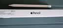 Apple/苹果 Pencil(USB-C) 磁吸触控笔手写笔苹果笔电容笔iPad笔 适用iPad(A16)/mini/Pro/Air 实拍图