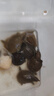 OIMG甲鱼饲料鳖饲料水鱼饲料小甲鱼开口鳖粮龟粮小乌龟开口粮通用粮 小颗粒体验装[50克] 实拍图