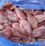 仁豪水产带籽熟冻北极甜虾净重3斤（MSC认证）90/130 解冻即食 家庭聚餐 实拍图