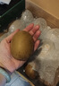 佳沛（zespri）新西兰 阳光金奇异果12粒特大果单果124-146g 猕猴桃水果礼盒 实拍图